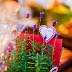 jessica_markus_featured_84