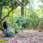 engagementshooting verlobungsshooting duesseldorf ratingen paarfotos schloss schlosspark heltorf featured 009