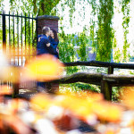 engagementshooting verlobungsshooting duesseldorf ratingen paarfotos schloss schlosspark heltorf featured 018